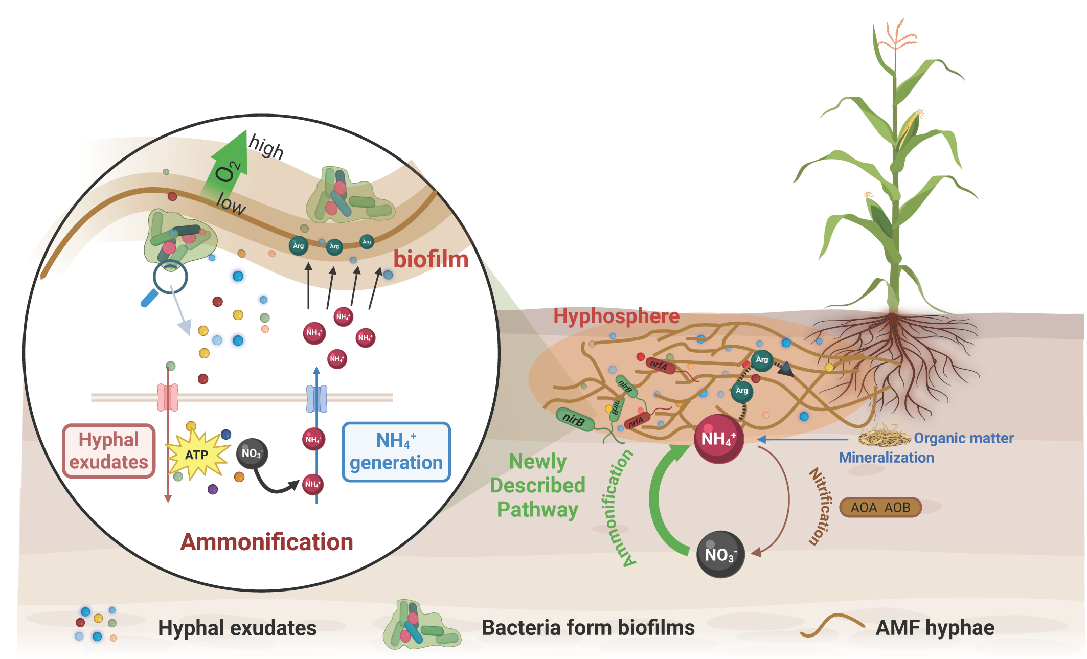 Nature Communications Cover